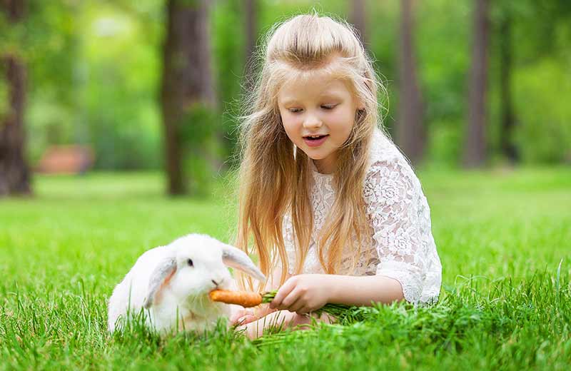 Agriturismo a Riscone